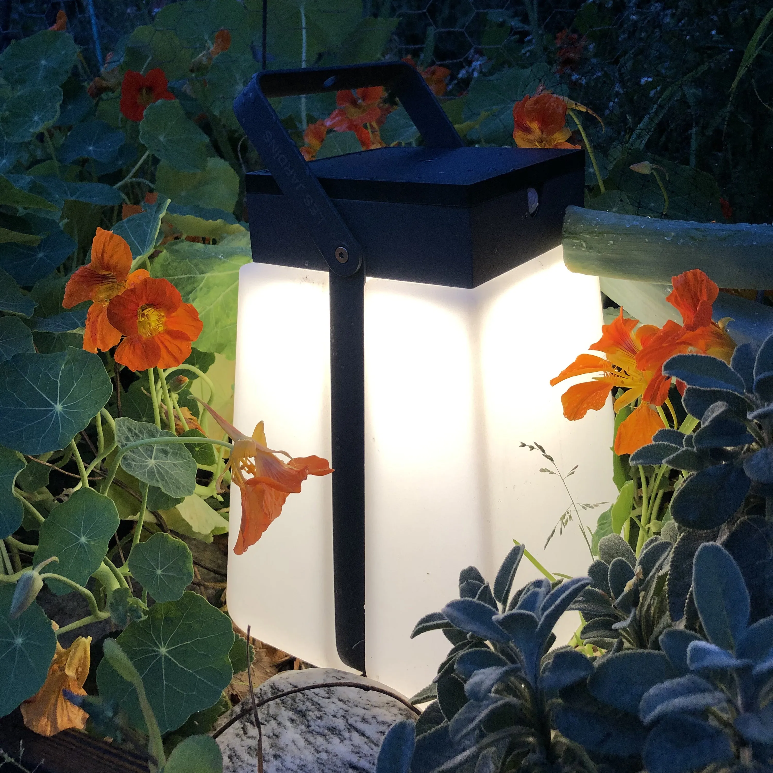 Bump Solar Outdoor Lantern