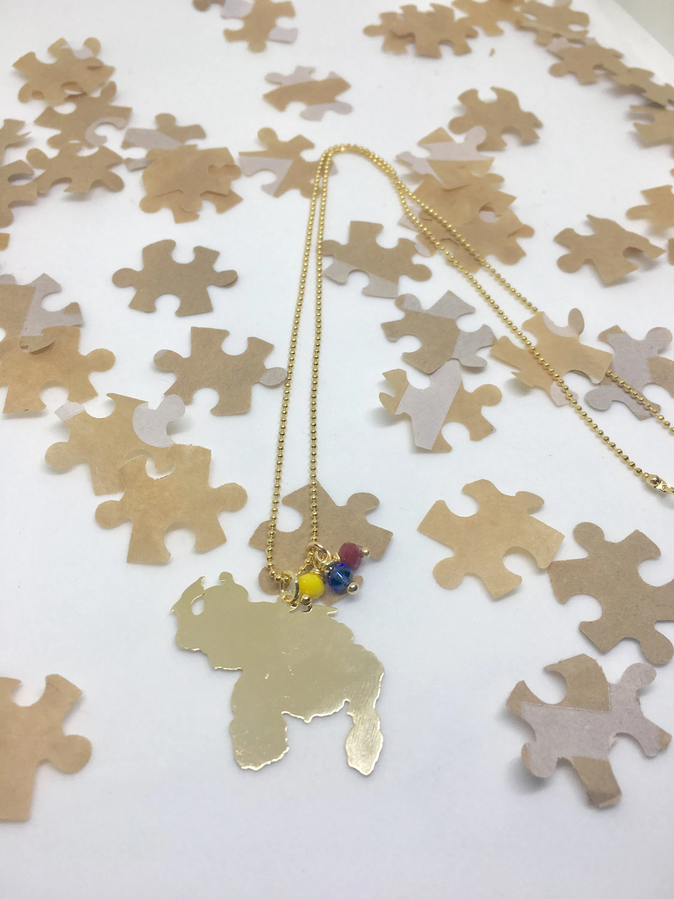 Venezuelan map necklace